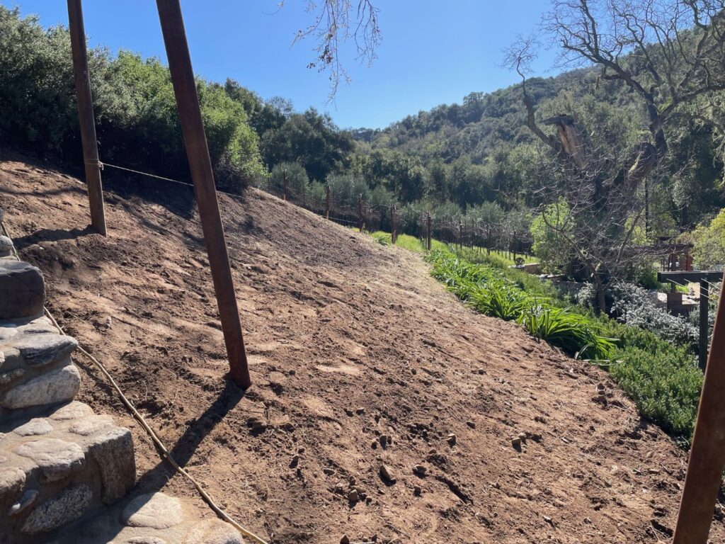 Newly cleared hillside for VINCENT VINES Estate Merlot vineyard expansion